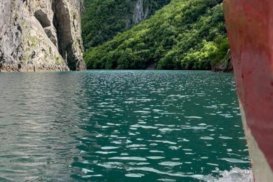 Private Boat Tour